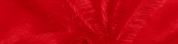 Fur Fabric