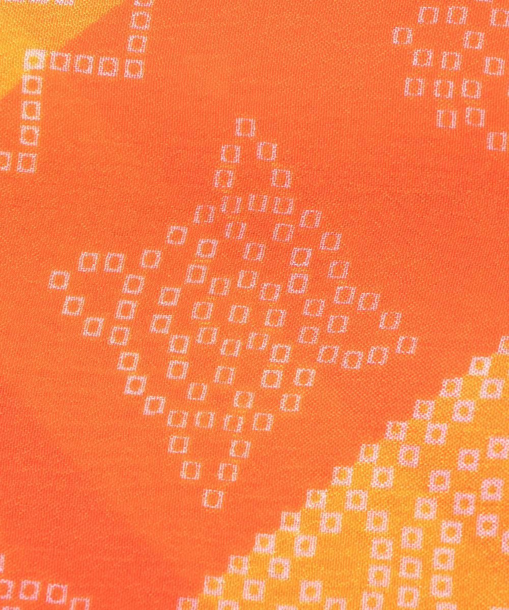 Buy Printed Chinon Silk Fabric Online