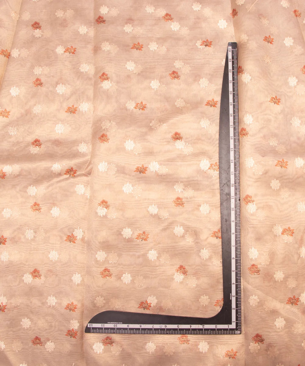 Buy Printed Tissue Silk Fabric