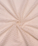 Off White Cutwork Schiffli Cotton Hakoba Fabric