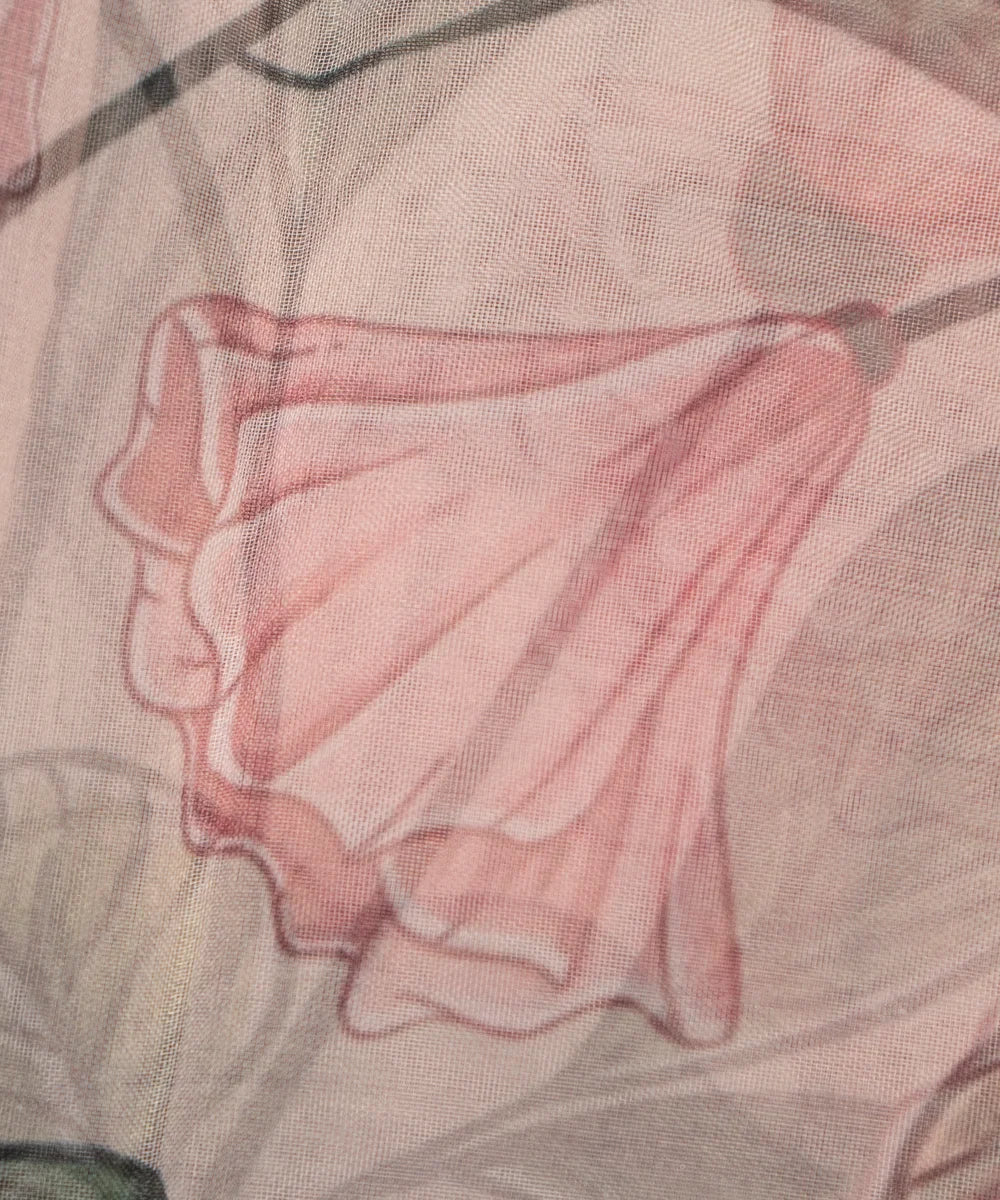 Organza Fabric