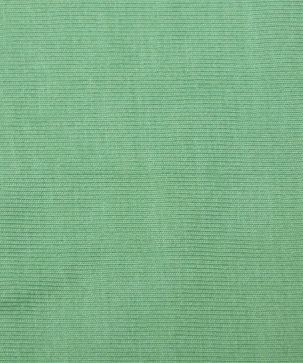 Sea Green Colour Plain Hosiery Fabric