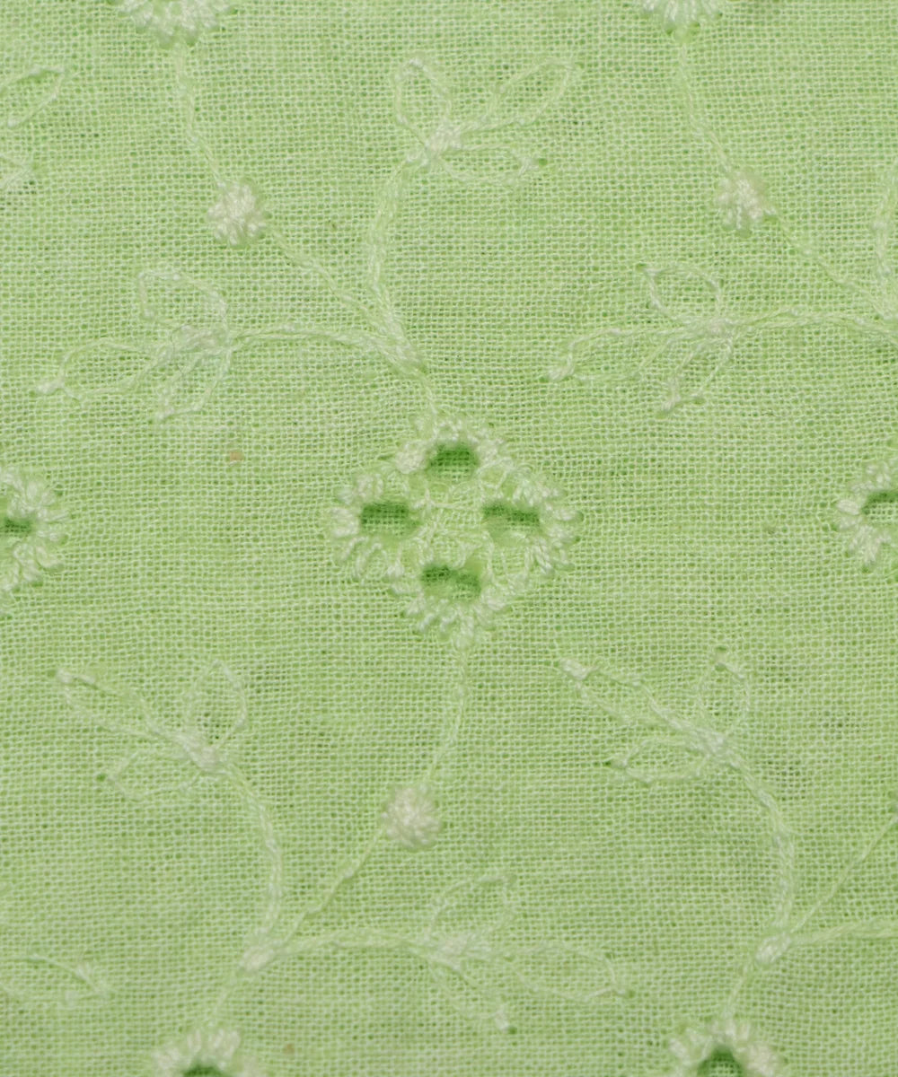 Mint Green Cutwork Schiffli Cotton Hakoba Fabric