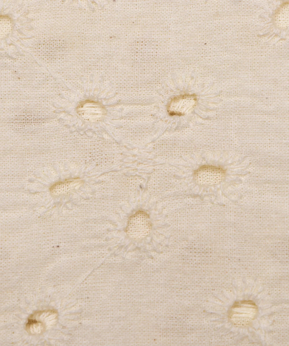 Off White Cutwork Schiffli Cotton Hakoba Fabric