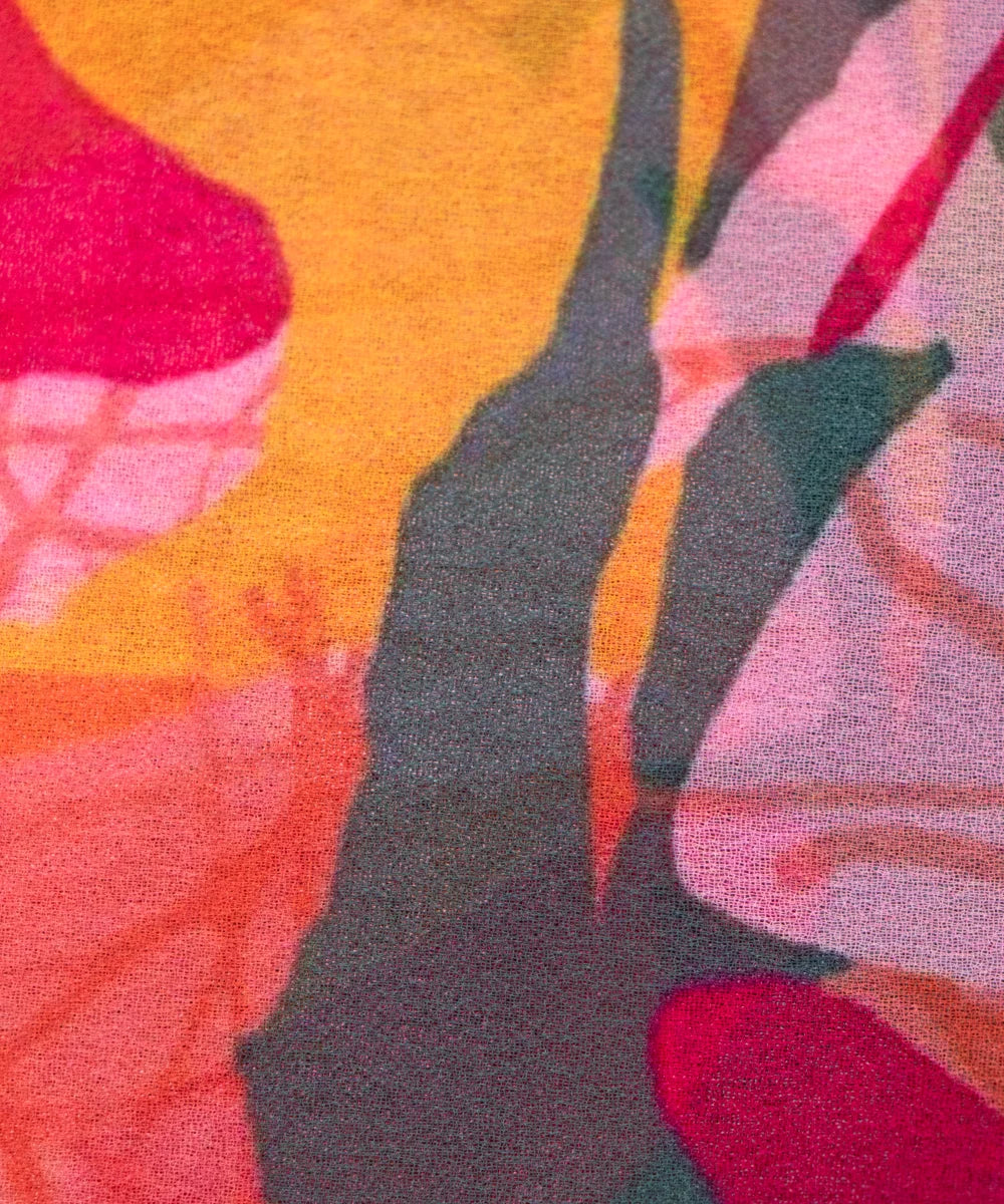 Chiffon Saree Fabric