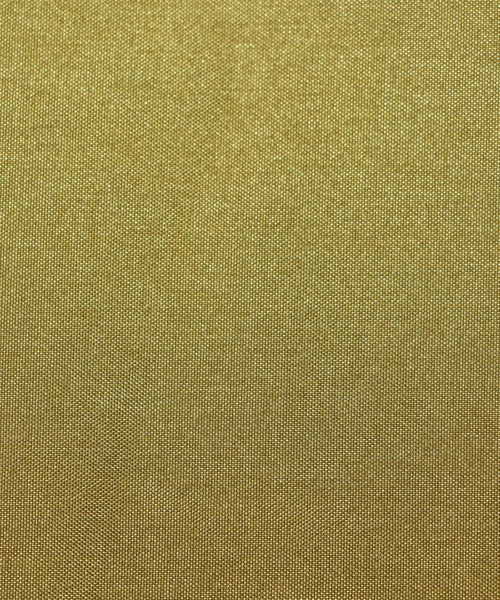light green colour two tone plain paper silk fabric