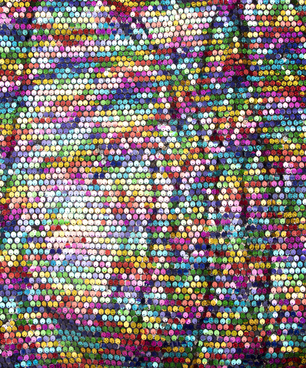 Multi Colour Sequin Net Embroidery Fabric