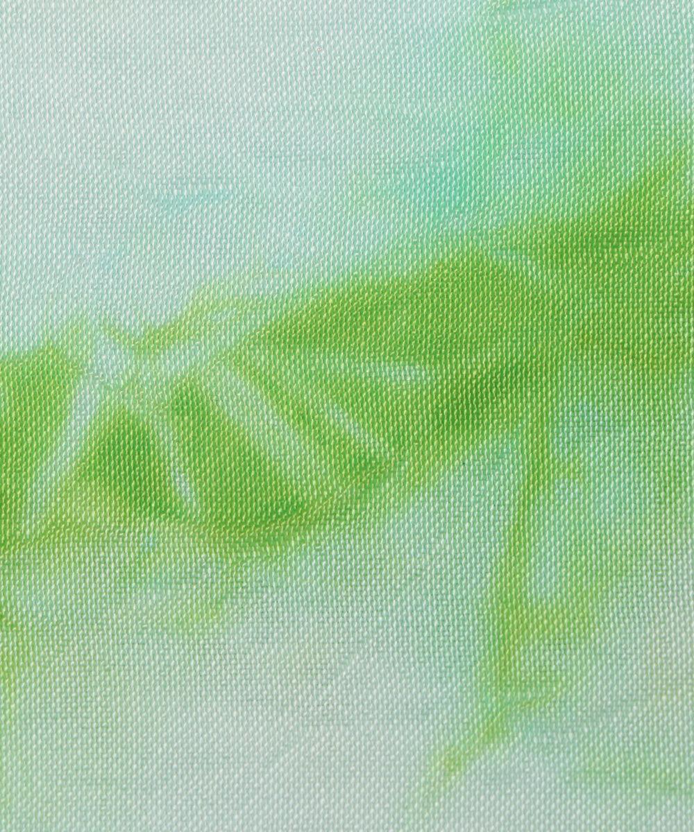 light green tie dye print uppada silk fabric