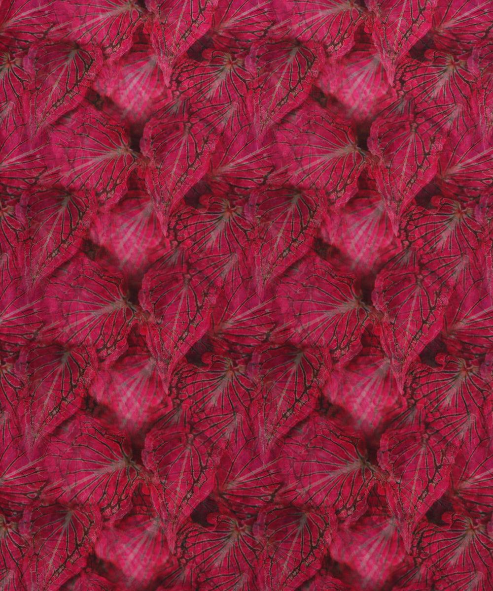 Shop Organza fabric  Online At Fabric Dekho