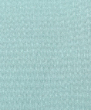 light sea green colour plain taffeta silk fabric