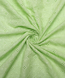 Mint Green Cutwork Schiffli Cotton Hakoba Fabric
